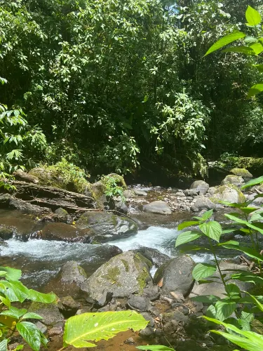 Bosques de Fraijanes