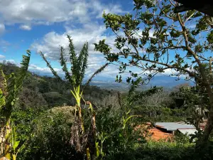 El Toledo Coffee Tour