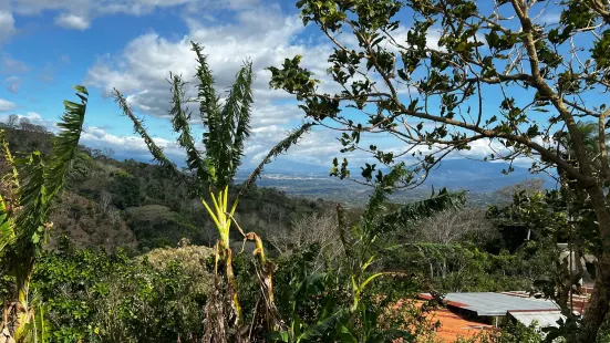 El Toledo Coffee Tour