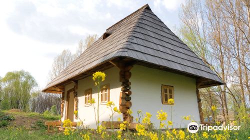 Bucovina Village Museum