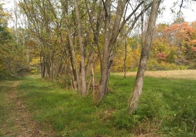 Fairfax State Recreation Area