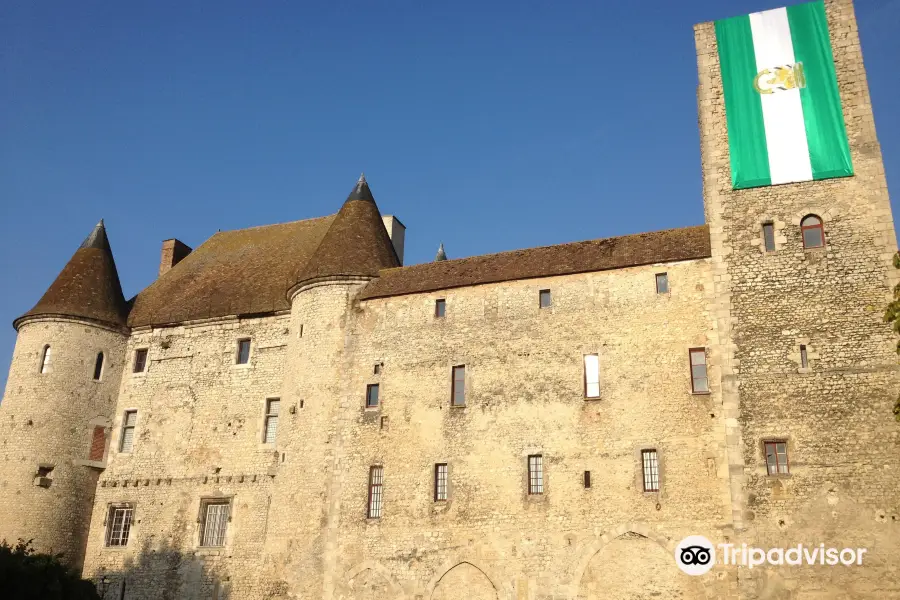 Castle-Museum de Nemours