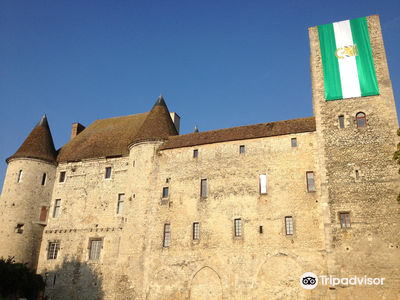 Castle-Museum de Nemours
