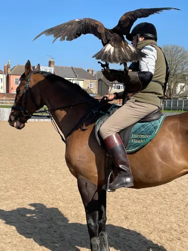 Newmarket