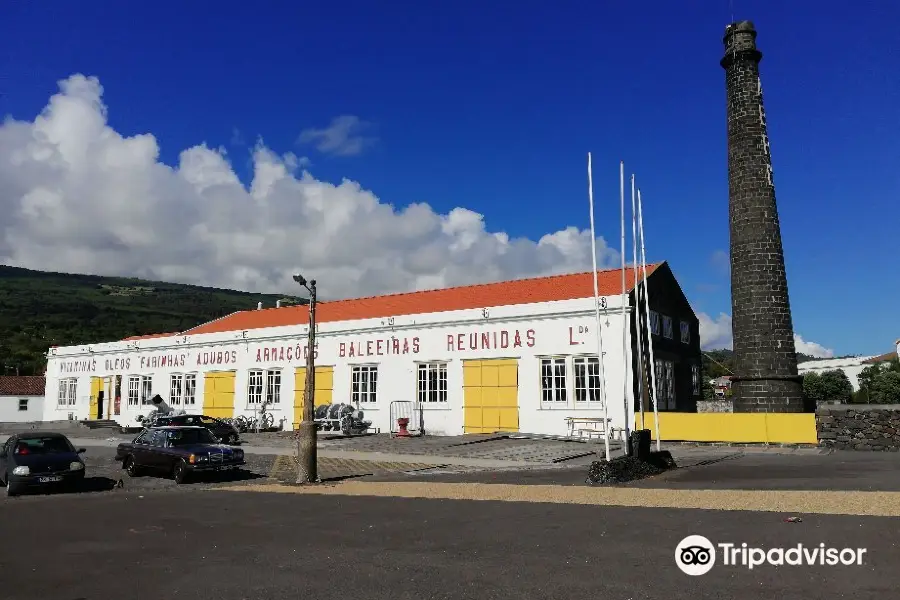 Museu da Industria Baleeira