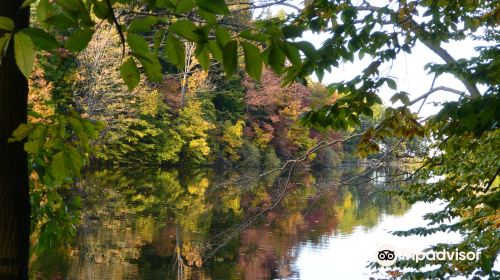 Durand Eastman Park