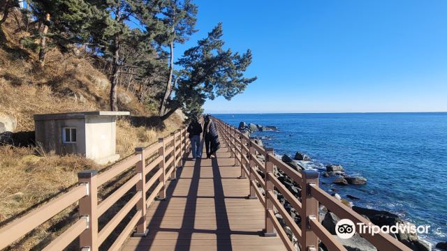 Oeongchi Bada Hyangiro Trail