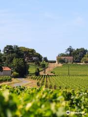 Château Champion St-Emilion Grand Cru