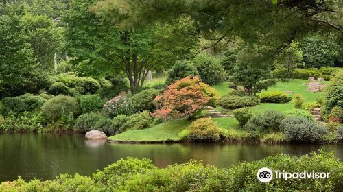 Asticou Azalea Garden