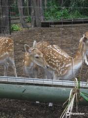 Birdland Animal Park