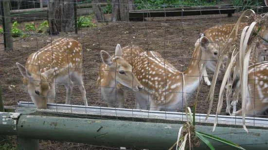 Birdland Animal Park