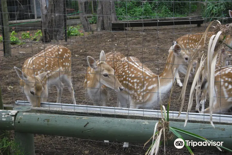 Birdland Animal Park