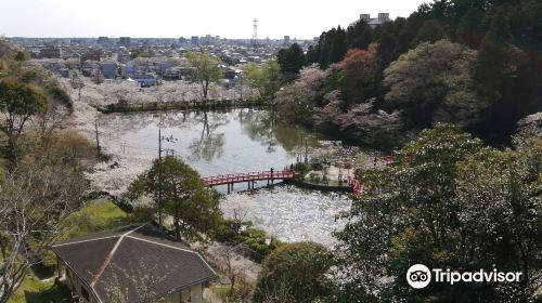 茂原公園