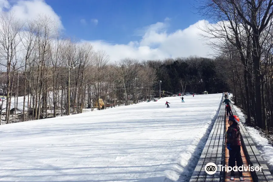 Ski Saint-Bruno