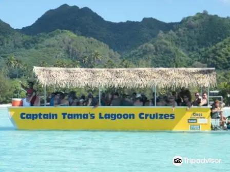5_Captain Tamas Lagoon Cruizes