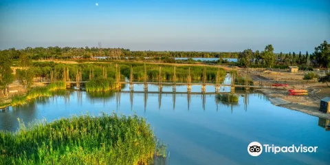 Deltaventur Parc D ' Aventura I Natura