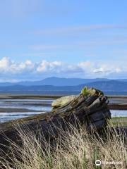 Parksville Community Park and Skate Park