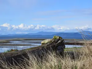 Parksville Community Park and Skate Park