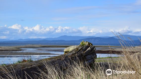 Parksville Community Park