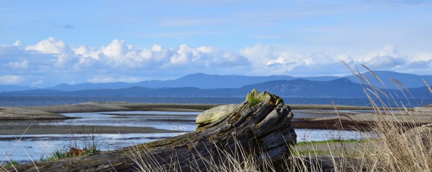 Parksville Community Park