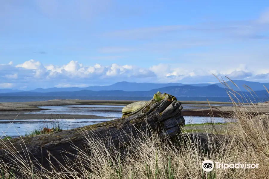 Parksville Community Park and Skate Park