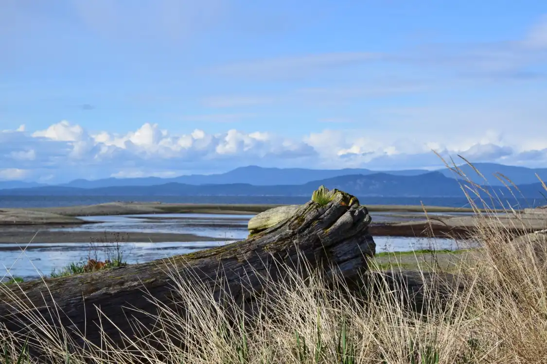 Hotels near Parksville Community Park