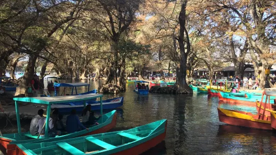 Lake Camecuaro