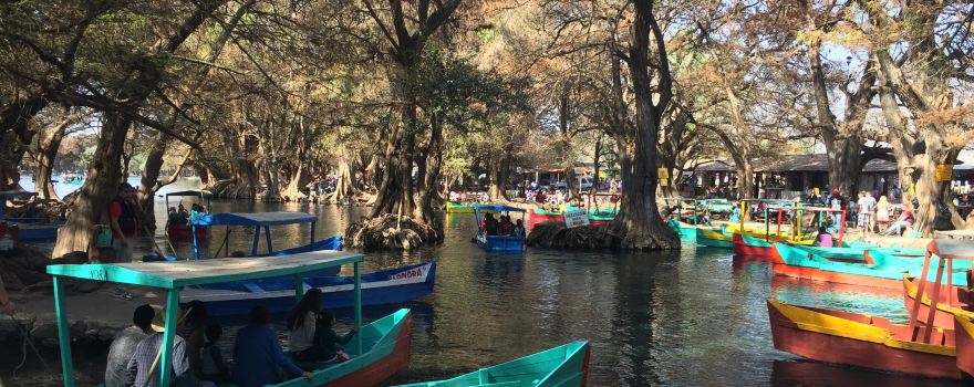 Lake Camecuaro