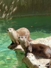 Idaho Falls Zoo at Tautphaus Park