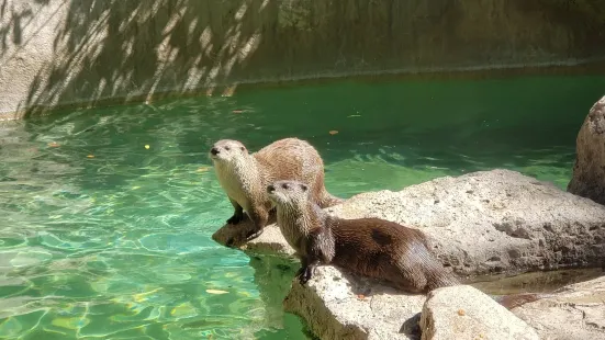 Idaho Falls Zoo at Tautphaus Park