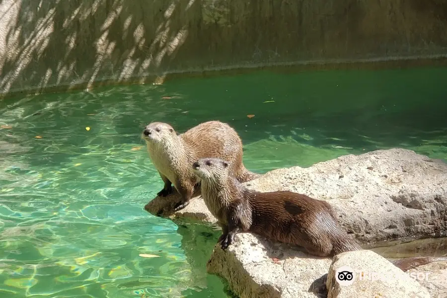 Idaho Falls Zoo at Tautphaus Park