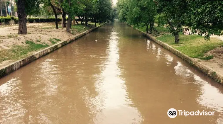 Lahore Canal