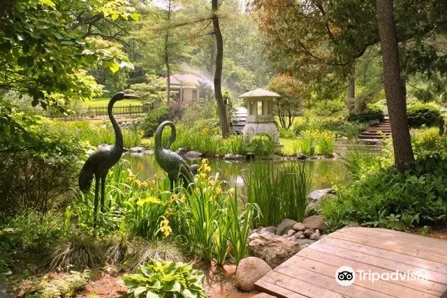 Fabyan Villa Museum & Japanese Garden