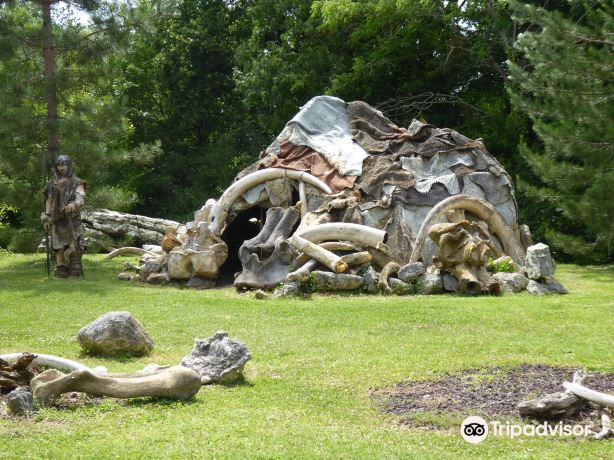 Paleosite