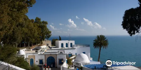 Dar Nejma Ezzahra 宮殿