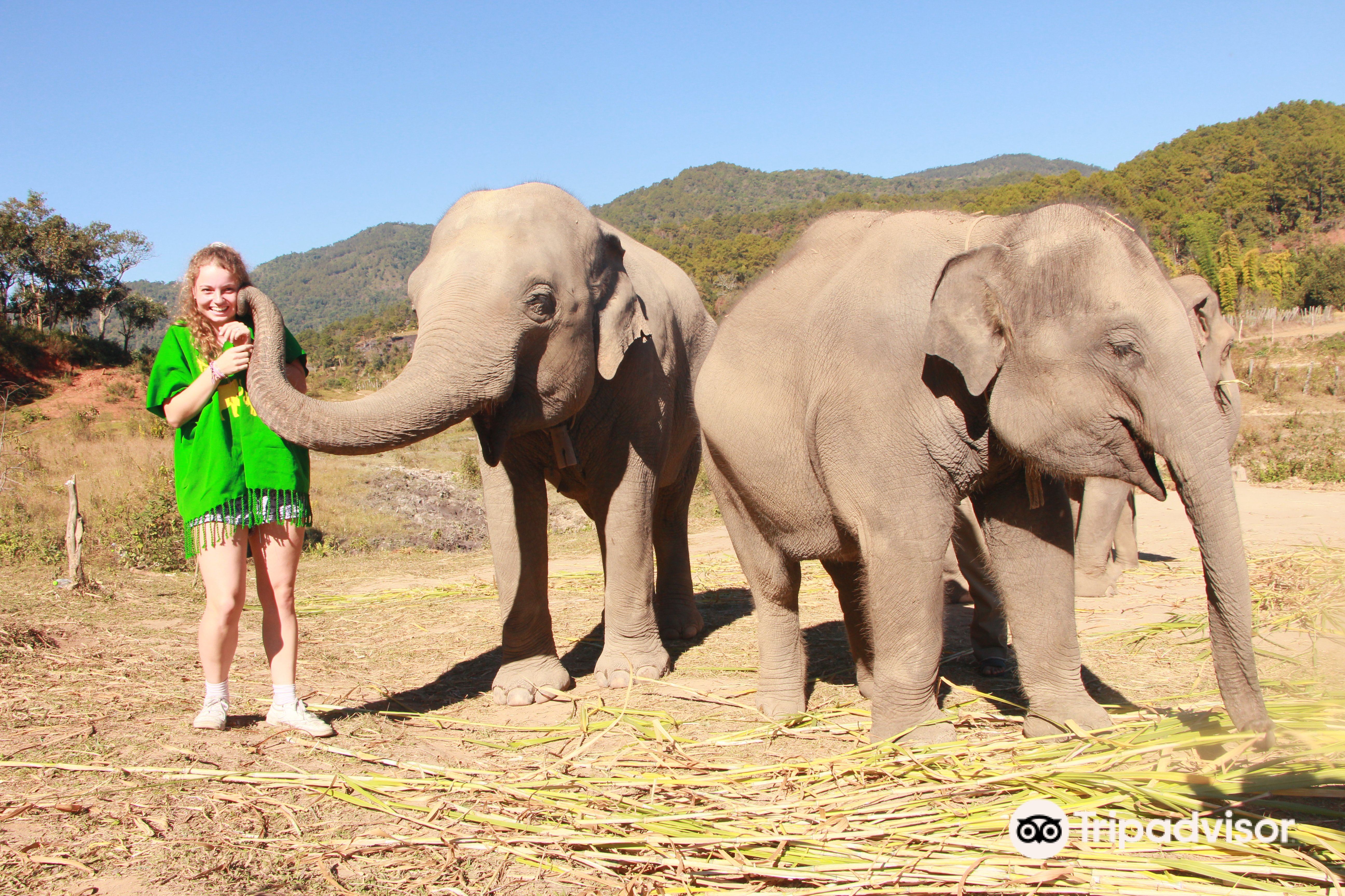 Hotels near Authentic Thai Elephant Sanctuary