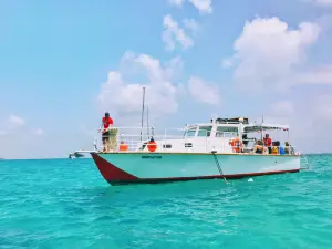 Snorkeling Puerto Rico