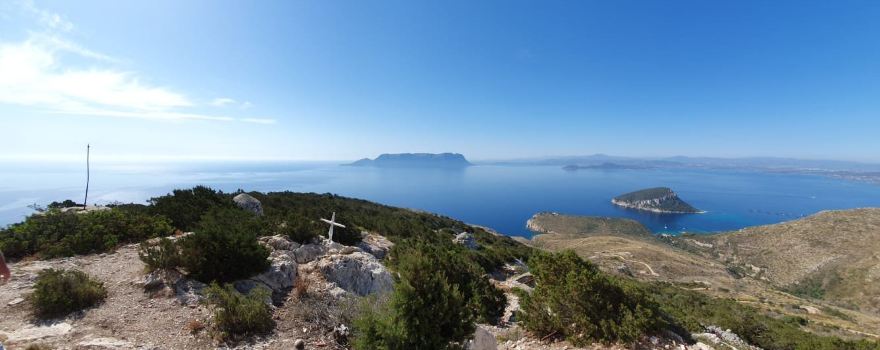 Figari