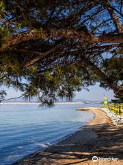 Crikvenica Beach