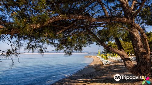 Crikvenica Beach