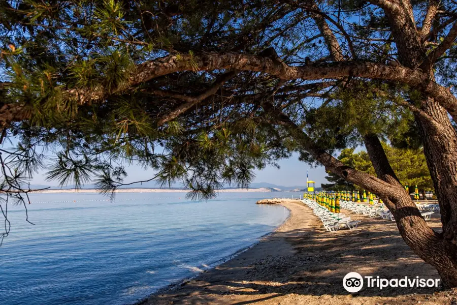 Crikvenica Beach