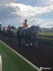 Doomben Racecourse