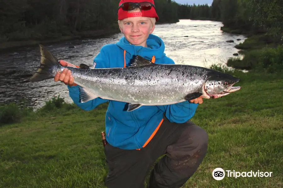 Salmon Fishing Naamisuvanto -  Petri Uusitalo