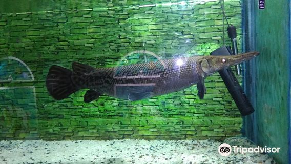 Jawahar Aquarium