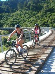 Ohakune Old Coach Road