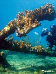 Punta Frances Marine National Park