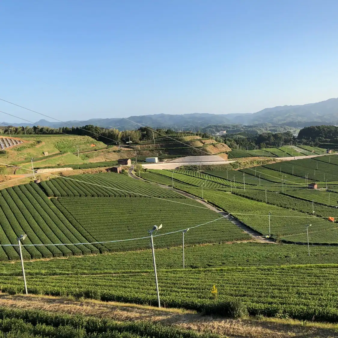 Các khách sạn gần Yame Chuo Tea Garden