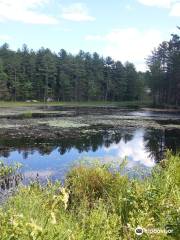 Bartell Trail Head