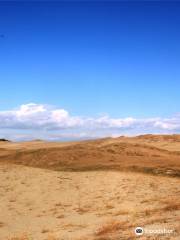 La Paz Sand Dunes