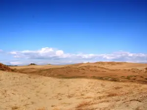 La Paz Sand Dunes